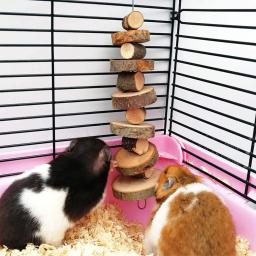 Natural Wood Chew Toy, Petisco Animal Pequeno, Brinquedos de Hamster, Adequado para Coelho, Cobaia, Chinchilla, Hamster Acessórios, Pet Shop - Image 3