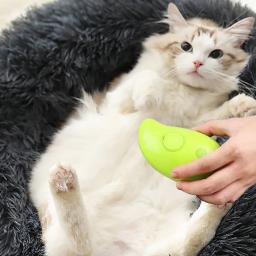 Escova de vapor com essência de deixar para gato, escova de gato fumegante, carregamento USB, cabelo solto emaranhado, acessórios para gato, 3 em 1 - Image 3