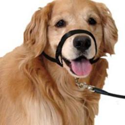 Nylon Dog Focinho Ajustável Anti-latido Anti-mordida Harness Head Collar Focinho Dog Halter Training Leash Leader Colar Clássico - Image 4