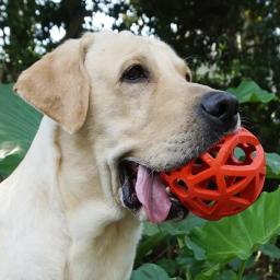 Bola de borracha para cães, brinquedo geométrico para cães pequenos, médios e grandes, material de treino para animais - Image 3