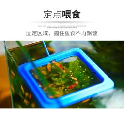 Plástico flutuante alimentador de alimentos para aquário, peixe alimentação suprimentos, flutuabilidade círculo, quadrado e redondo anel de alimentação, tanque de peixes acessório - Image 2