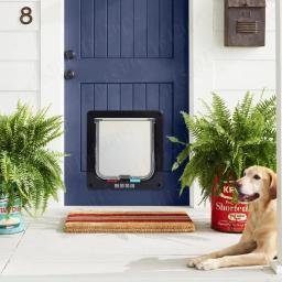 Porta de plástico com 4 Way Security Lock, Portão para cachorro, Portão de segurança para cão, gato, gatinho, Pet Shop - Image 3
