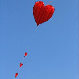 Frete grátis pipas macias voando coração pipas para adultos pipas e raios e linhas amor pipas fábrica folhetos parapente pesca - Image 6