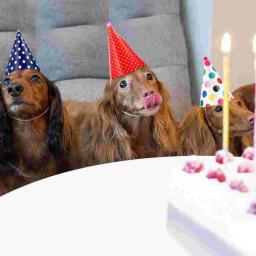 Chapéu de papel de aniversário para crianças, adereços fotográficos chique, criativo, único, material para festa, favores infantis, 44 peças - Image 2