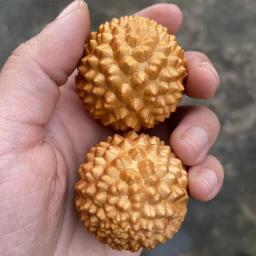 Primavera Grip Mão Massagem Bola, Primavera Grip Tratamento de Lesões do Pulso Masajeador, Durian Fitness Balls, 1Pc - Image 3