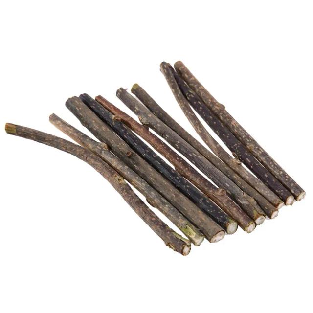 Petiscos e Brinquedos de Catnip Natural para Gatos: 10 Peças com Varas, Silvervine e Cuidados Dentais