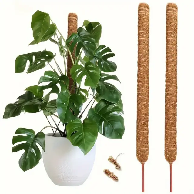 Conjunto de Suportes Duráveis para Plantas com Pólos de Musgo Altos e Cordas de Juta Naturais - Pack com 2 Unidades para Monstera, Sphagnum e Pothos