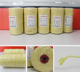 O envio gratuito de linha kevlar para adultos kites linha corda voando grandes pipas pára-quedas parafoil pipas para venda fábrica - Image 3