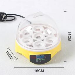 Incubadora automática inteligente de temperatura constante de 7 peças de tamanho pequeno para incubar galinhas, patos e codorniz. - Image 6