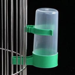 Distribuidores de água para gaiolas, copos, garrafas, pardais, papagaios, periquitos, calopsitas, Lovebirds alimentador e Waterer - Image 5