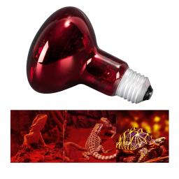 Réptil Lâmpada de Aquecimento para Pet Heat Lights, Lâmpada Iluminação Dispositivo, Fonte de Aquecimento, Vivarium Terrarium, Geckos Amphibian, 100W - Image 4