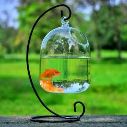 Criativo Pendurado Vaso De Vidro Com Rack, Aquário, Redondo ou Retângulo Em Forma, Suporte De Hidroponia, Decoração De Casa - Image 1
