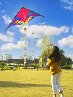 Frete grátis grande delta kite para crianças kite nylon brinquedos voando kites arco-íris kite brinquedo ao ar livre borboleta asas flight kite cobras - Image 3