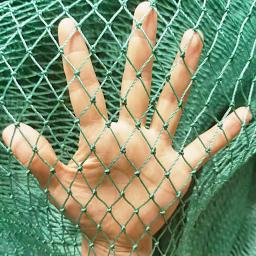 Heavy Duty Anti Bird Netting Garden Fence e Culturas, Malha De Esgrima De Proteção, Rede De Pesca, Veados, Gato, Cão, Frango - Image 1