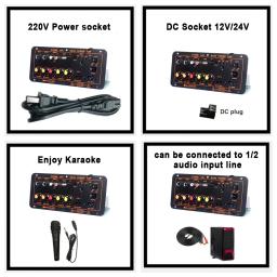 Placa do amplificador audio com microfone duplo, subwoofer do amplificador de Bluetooth, subwoofer do apoio, orador 4Ohm, 12V, 24V, 110V, 220V, D100, D300, 600W - Image 5