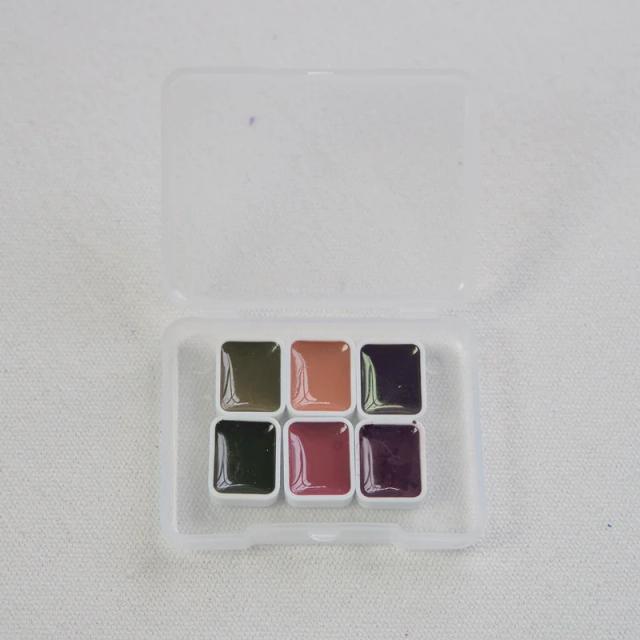 Paleta Monocromática de Aquarela Chinesa Tradicional com 6 e 12 Cores para Pintura Artística