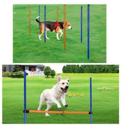 Agility Training Equipment Kit para Cães Túnel Pólos, Obstáculos Exercício Curso, Obstáculo, Training Starter Set para Pet - Image 2