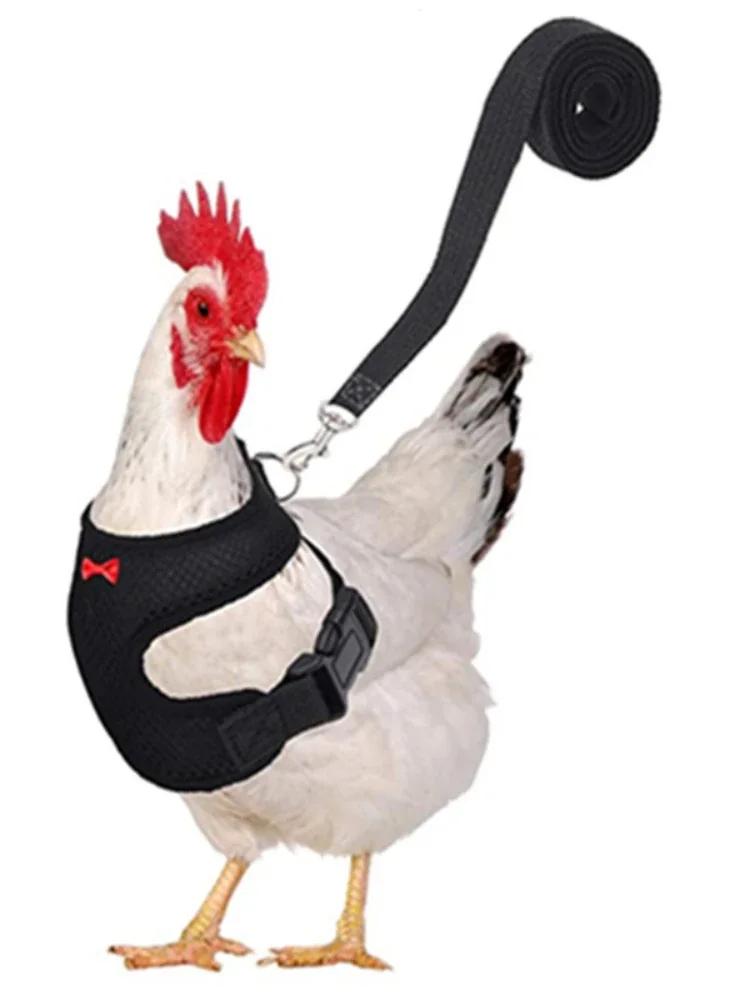 Ajustável Pet Harness Leash, Colete Confortável para Frango, Cachorro, Cães Pequenos, Pato, Ganso, Acessórios de Treinamento - Image 1