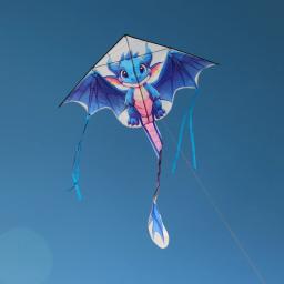 Dragon Kites Flying Toys para Crianças, Professional Wind Kite, Jogos ao ar livre, Brinquedos Esportivos, Flying Bird Koi, Frete Grátis - Image 5