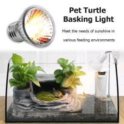 Lâmpadas UVA UVB, controlador de temperatura de aquecimento, lâmpada de répteis, aquecendo tartarugas, 25 W, 50 W, 75W, 1-2pcs - Image 4