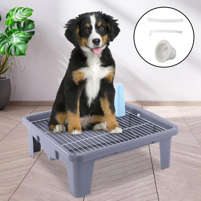 Tapete Higiênico Durável para Cães com Grade Mesh e Post Removível para Treinamento Eficiente