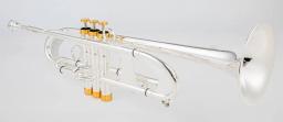 Tradivarius-TR600 Trompete com Bocal, Trompete, Banhado a Prata, Instrumento Musical, Grau Profissional, Novo, Venda Quente - Image 4