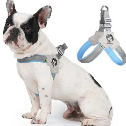 Cinta torácica respirável para cães e gatos, cintos pequenos e médios, cão pequeno e médio, cachorro verão, viagens, caminhada, francês, 1pc - Image 4