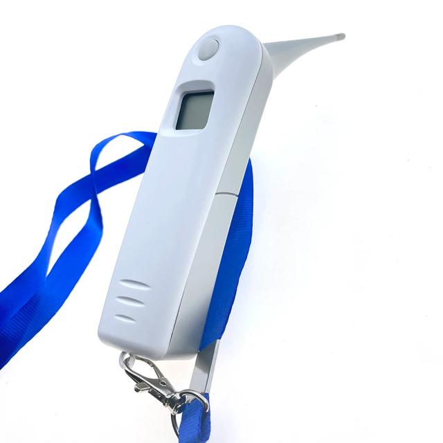Termômetro LCD Preciso para Animais: Ideal para Gado, Cavalos, Ovelhas, Porcos, Cachorros, Gatos e Coelhos na Agricultura e Suprimentos Clínicos