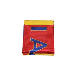 Bandeira de seda cetim de impressão dupla face para fãs de futebol, Romênia cachecol, Forza, TRICOLORII, bandeira, 15x150cm - Image 4
