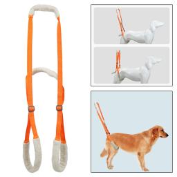 Cão levantamento arnês animais de estimação ajustável útil voltar quadril apoio mobilidade pernas fracas deficientes articulação cães mais velhos elevador animais de estimação hind - Image 5