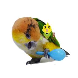 Brinquedos de treinamento interativo para papagaio, papagaio e morder, sabedoria, jogando, pássaro, som, acessórios para animais - Image 2