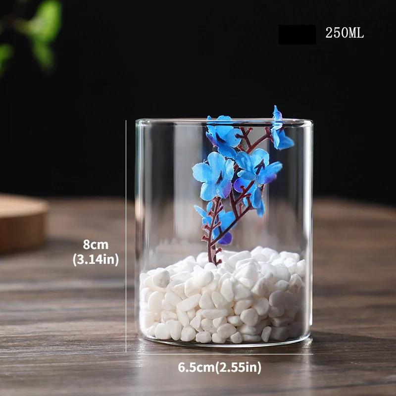 Vaso De Vidro Transparente De Tubo Reto Ecológico, vaso De Flores De Borosilicato Alto Criativo Paisagem, Decoração De Casa - Image 1