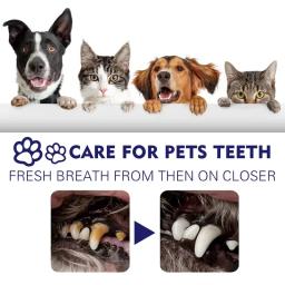 Yegbong-creme de limpeza oral para cães e gatos, manchas dentárias, limpo, tártaro, manchas dentárias, produtos para animais - Image 4
