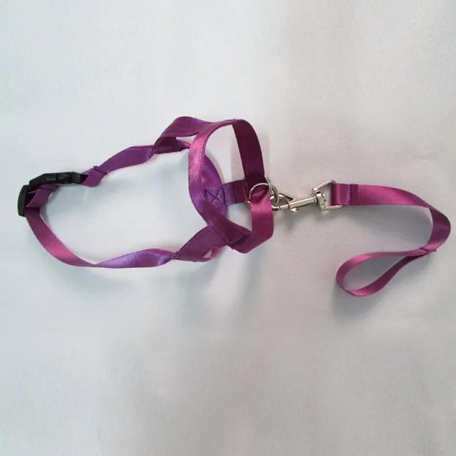 Focinho Ajustável de Nylon para Cachorros - Antilatido e Antimordida com Guia Clássica para Treinamento