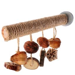 Madeira Stand poleiro brinquedo para papagaio, Bird Cage poleiro, Paw Grinding Stick - Image 1