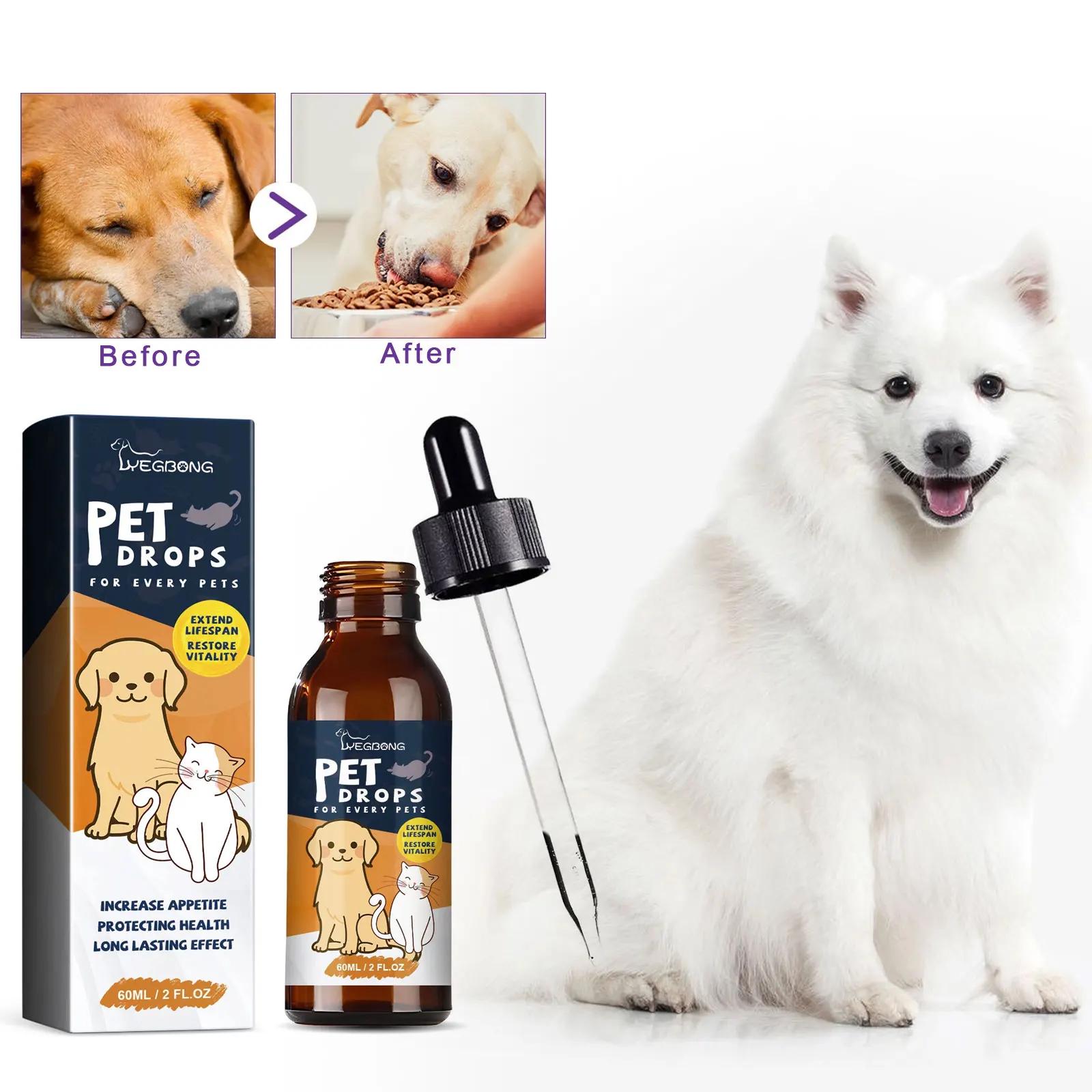 Pet Nutrição Suplemento para Digestão Saúde, Cuidados Gastroinários, Estômago Condicionado, Melhorar o Apetite, Dog Health Drop - Image 1