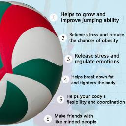 Impressão Bola de Voleibol com Agulha Opcional e Saco, Model5500, Esportes ao ar livre, Treinamento, Presente de Natal, Tamanho 5 - Image 5