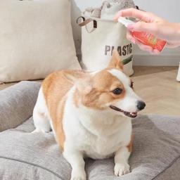 Longo Durável Limpeza Desodorizador Spray, Cão Gatos Perfume, Remover Gatinho Mau Hálito, Pet Limpeza Suprimentos - Image 4