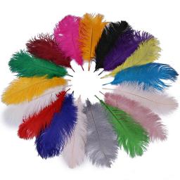 Penas Coloridas De Avestruz Para Artesanato, Decoração De Casamento, Acessórios De Artesanato, Mesas De Mesa, Decoração De Carnaval Plumas, 20Pcs - Image 1