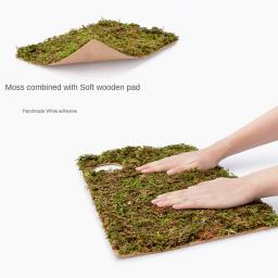 Natural Moss Mat Hamster Cage, Moss Terrace, Paisagismo Suprimentos, Pequenos Acessórios Pet, Tapete Multi-room - Image 4