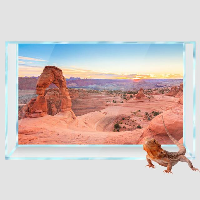 Papel de Parede 3D HD: Décor de Réptil em Habitat de Deserto para Aquário com Impressão em PVC