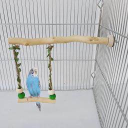 Wood Parrot Stand Pole, Double Layer Swing Toy para Bird, Tiger Skin Claw Grinding Beak, Acessórios para gaiola - Image 1