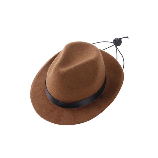 Acessórios Engraçados para Animais: Chapéu de Cowboy para Cães e Fantasia Divertida para Gatos