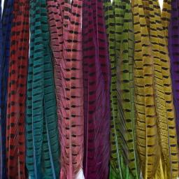 Penas de feisão naturais coloridas para artesanato, decoração de penas grandes longas, acessórios de carnaval decoração, atacado, 40 a 45cm - Image 5