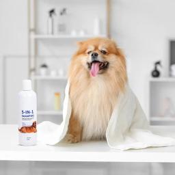 Profissional Hidratante Shampoo Dog, Cheiro Bom Shampoo Dog, Casaco lavar a pele seca e coceira, 16 FlOz - Image 2