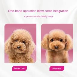 Integrado Pet cabelo secador para gato e cão, secagem, pentear macio, cabelo silencioso secagem, tamanho pequeno e médio - Image 2