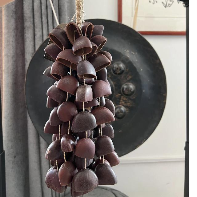 Harmonização e Cura através de Instrumentos Sonoros Naturais com Juju