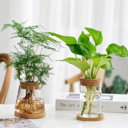 Garrafa De Vidro Com Rolha De Madeira, Micro Paisagem, Garrafa Ecológica, Vaso De Flor Redondo, Recipiente Hidropônico - Image 3