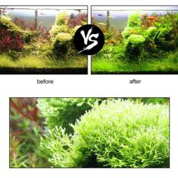 Fertilizante Efervescente Do Aquário, CO2 Dióxido De Carbono, Fish Tank Nutrição Tablet, 60Pcs por Garrafa - Image 5