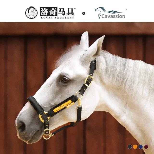 Coleira para Cavalo Equitação Equipamento